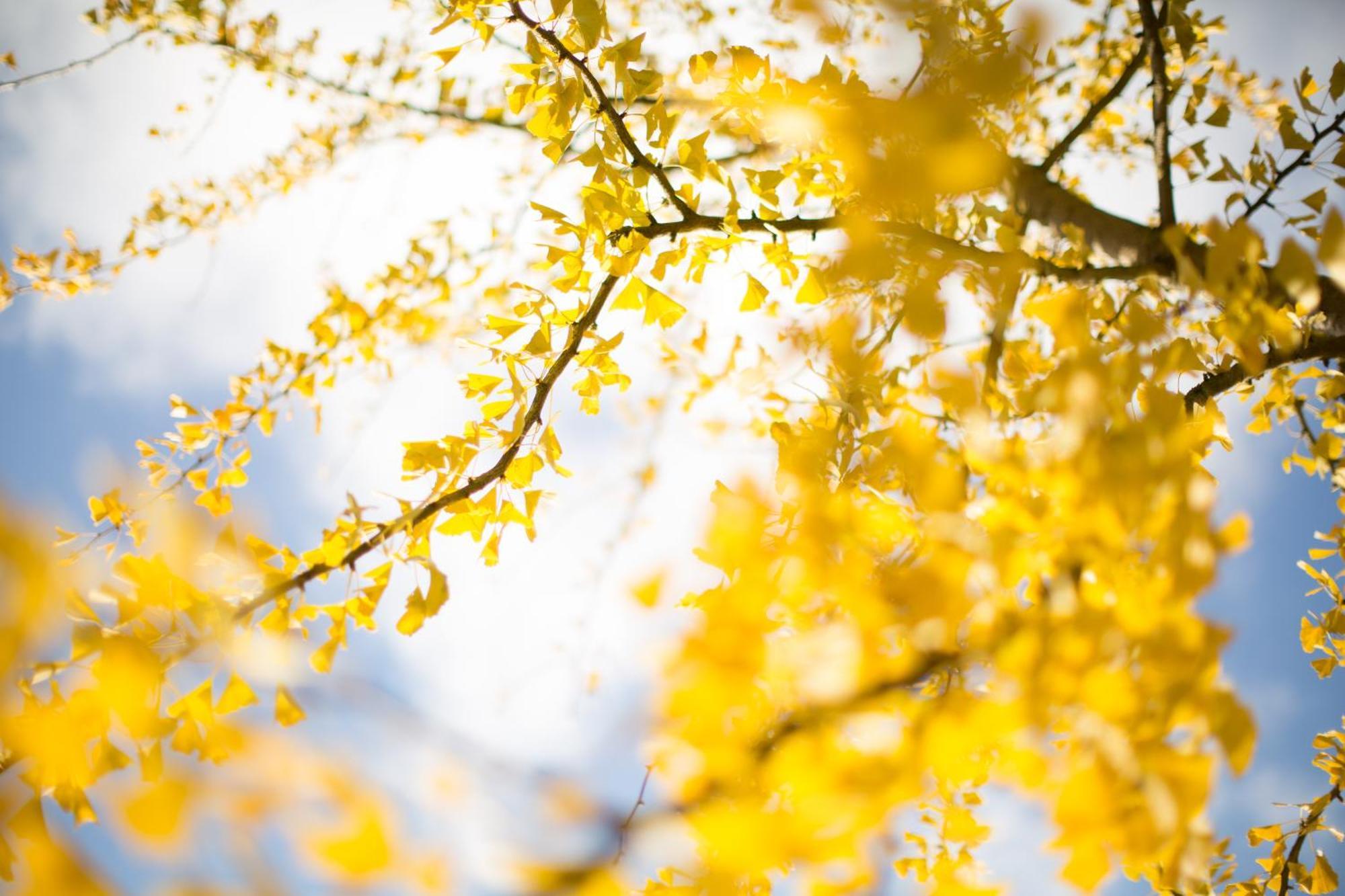 Ferienhaus "Sonne Im Gruenen" Lindern エクステリア 写真
